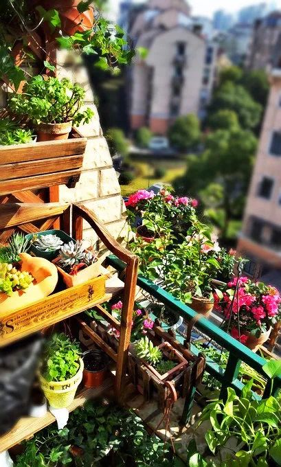 你还知道哪些植物过冬的方法,做好充足准备的好处