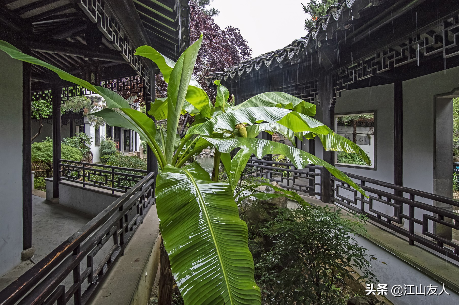 古诗中的苏州景点,苏州诗词之旅有哪些景点