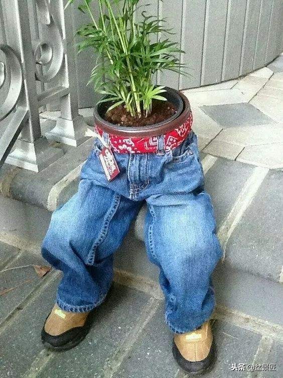 废物改造花盆绿植,旧物改造吊兰花盆