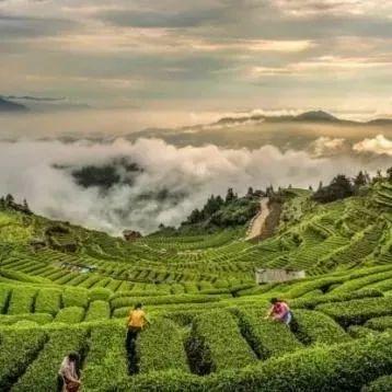 松阳古村落美如人间仙境的风景,在松阳的古村落里寻找诗和远方