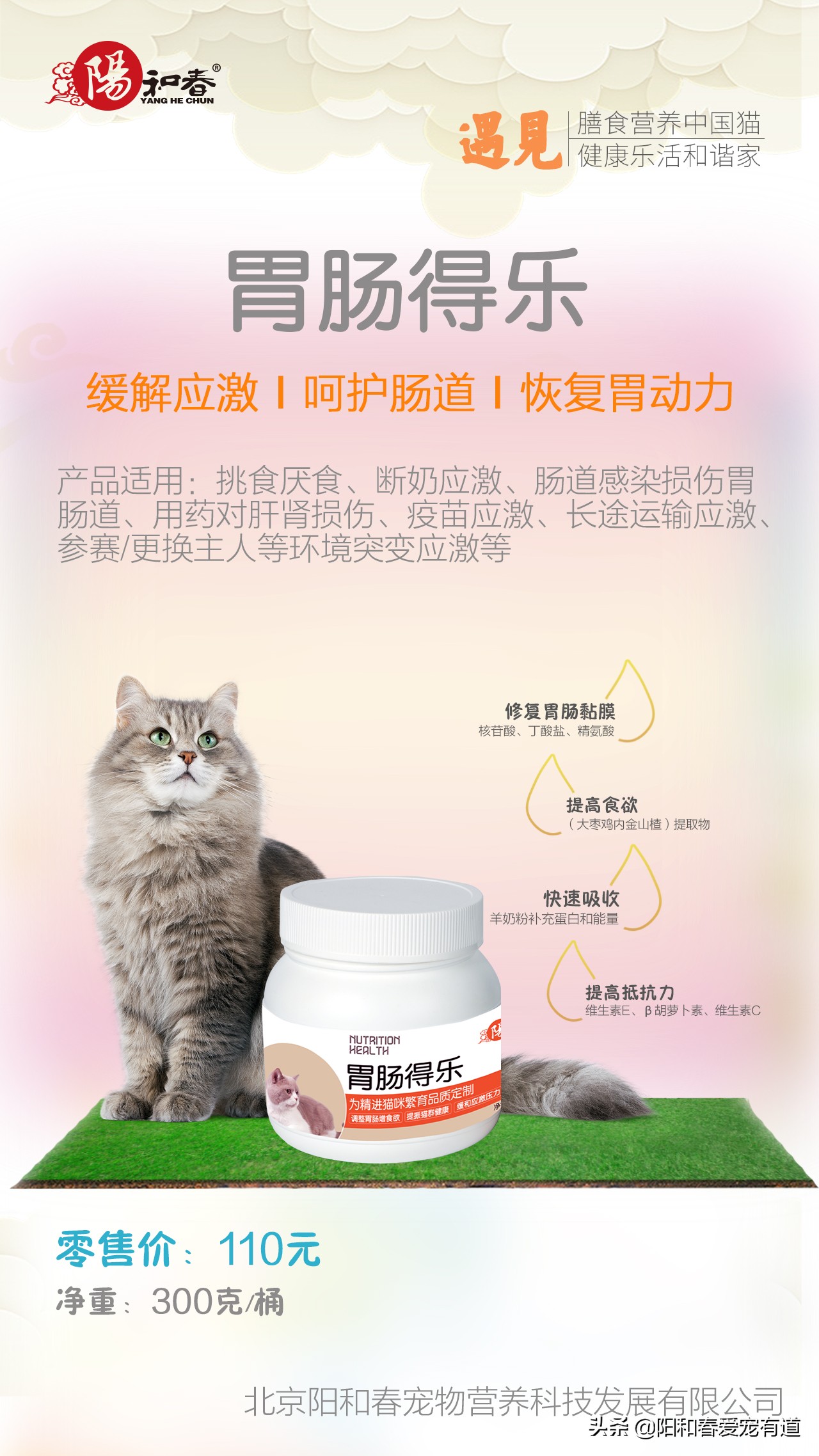 猫咪调理肠胃益生菌推荐,猫咪吃益生菌后反而呕吐