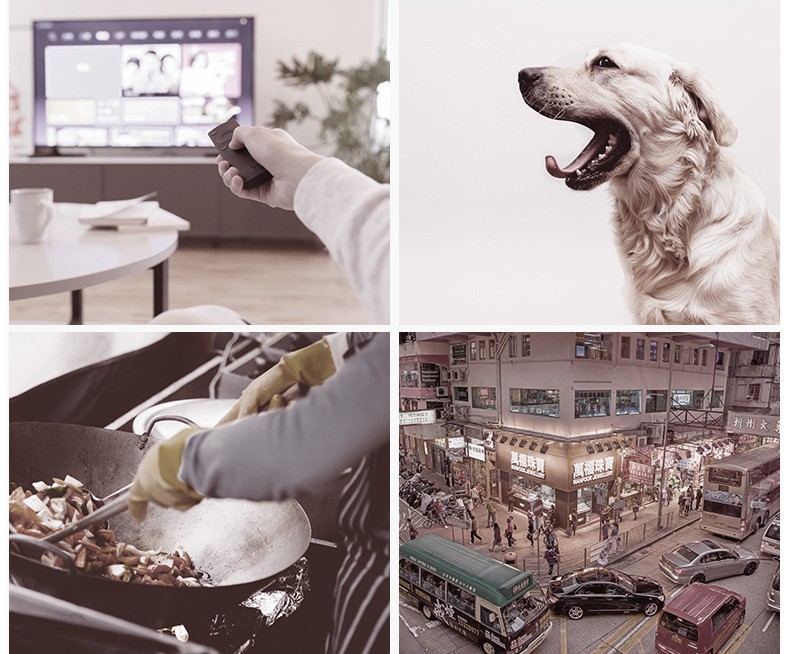 写在“世界环境日”，开洋木门助力解决室内三大污染源