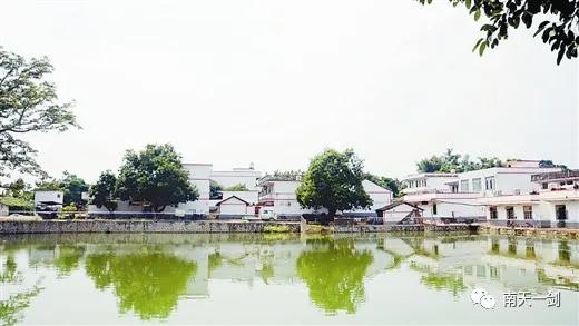 广西拟建设的七个农业产业强镇,广西将建哪四个千亿强县