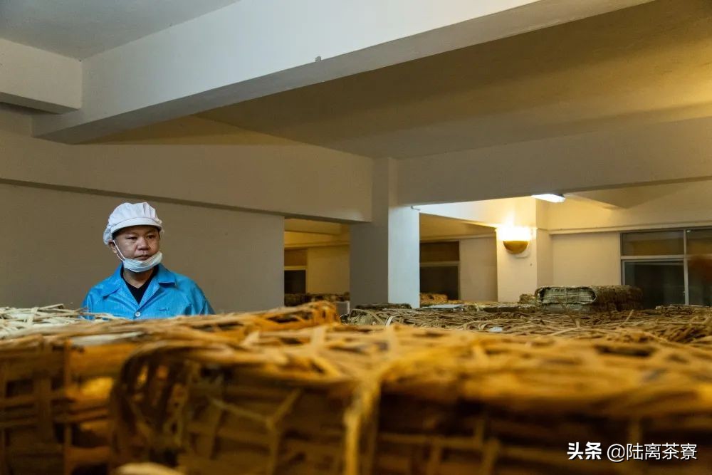 行业巨无霸?城市精品仓?深圳能成为普洱茶界的巨头吗?