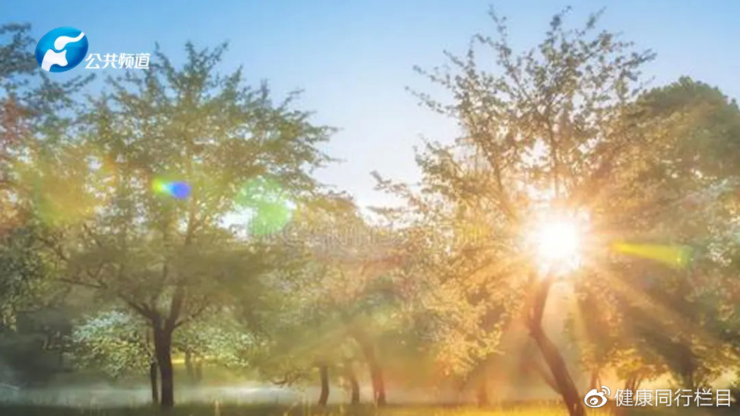 别让风湿恋上你——皮疹？贫血？肾病？可能是系统性红斑狼疮惹的祸！