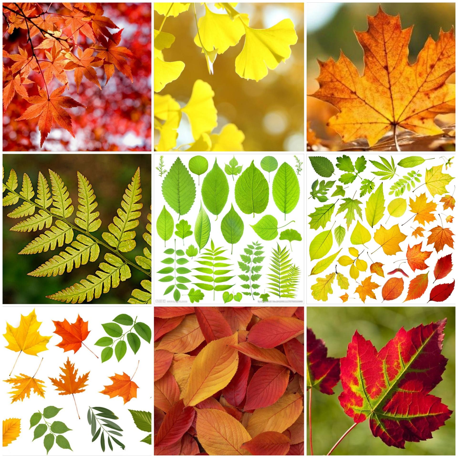 3岁孩子：太爷爷到哪儿去了？不欺骗孩子，家长试试这样聊生死