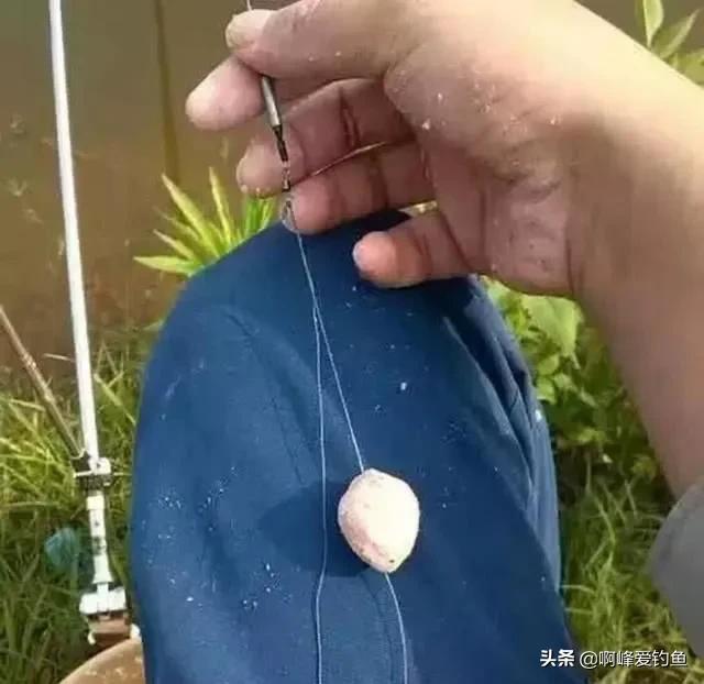 鲢鳙到底怎么钓才能钓得多,鲢鳙怎么才好钓