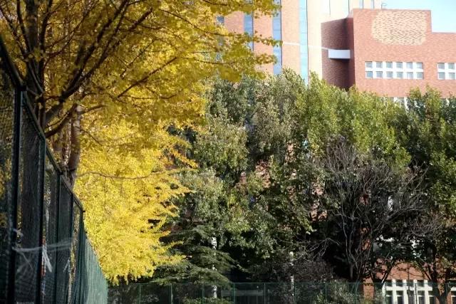 辽宁省普通高等院校大连大学,辽宁省交通高等专科学校15届