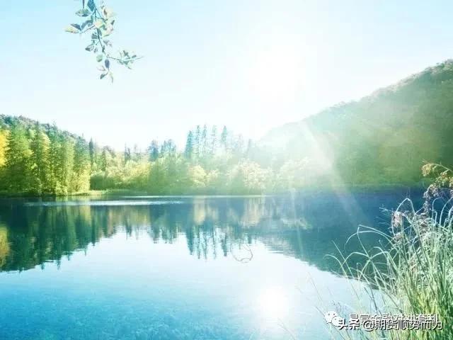 期货模拟与期货交易策略,期货高手的秘诀