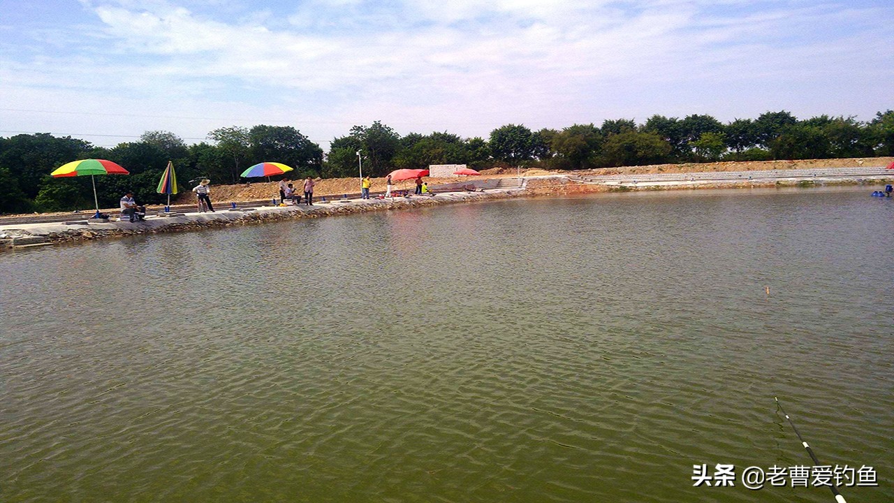 收费鱼塘钓鱼技巧,鱼塘钓鱼怎么收费合理