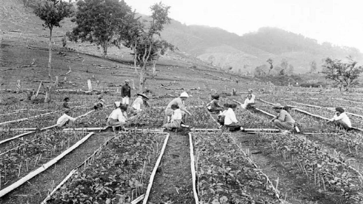 日本脚气病历史,日军大规模得脚气病