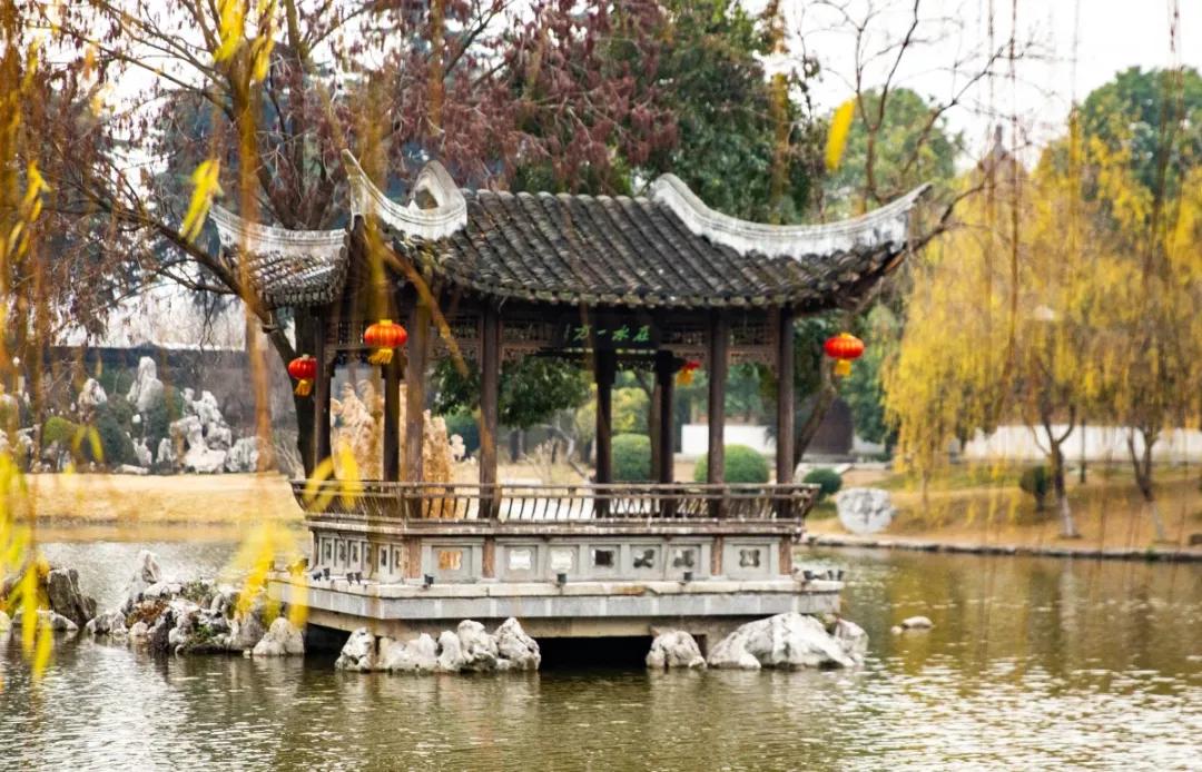 南京腊梅最佳观赏时间,南京赏梅花景点推荐