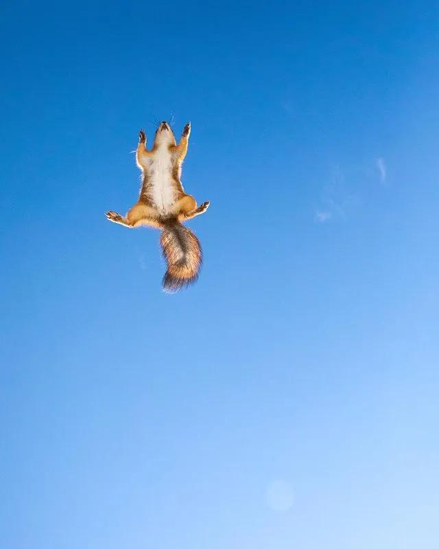 葬礼当天，她成为了四个孩子的“后妈”，网友：这是童话故事吧