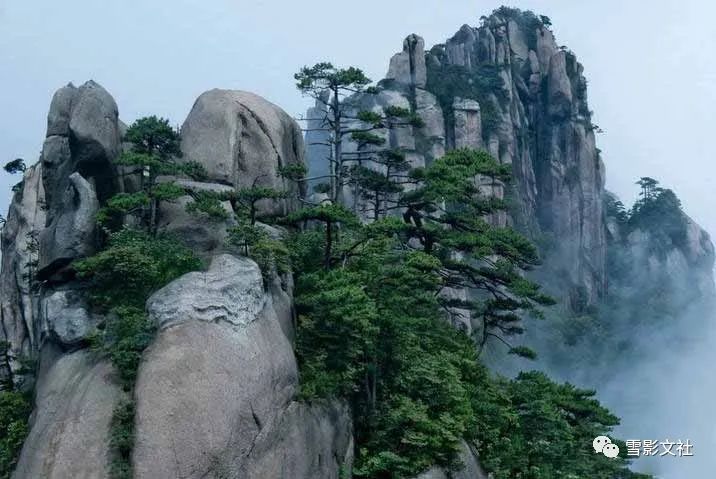 赵军|颖滨尚见荷钱小,堤岸时逢柳色新