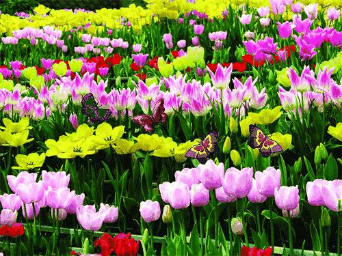 如何提高自己的社交能力,读什么书可以提高情商和社交能力