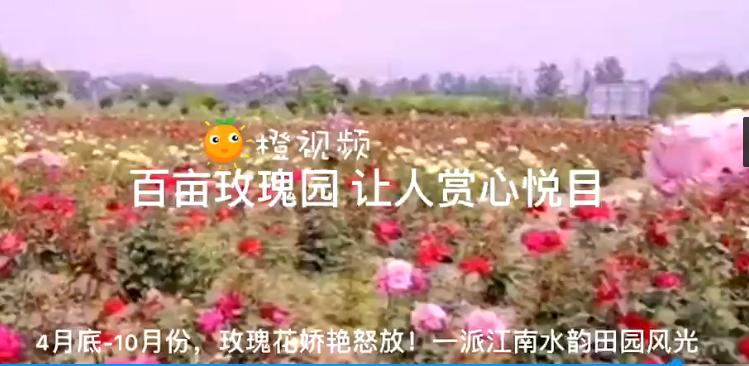 芜湖县红杨镇旅游,芜湖红杨古镇