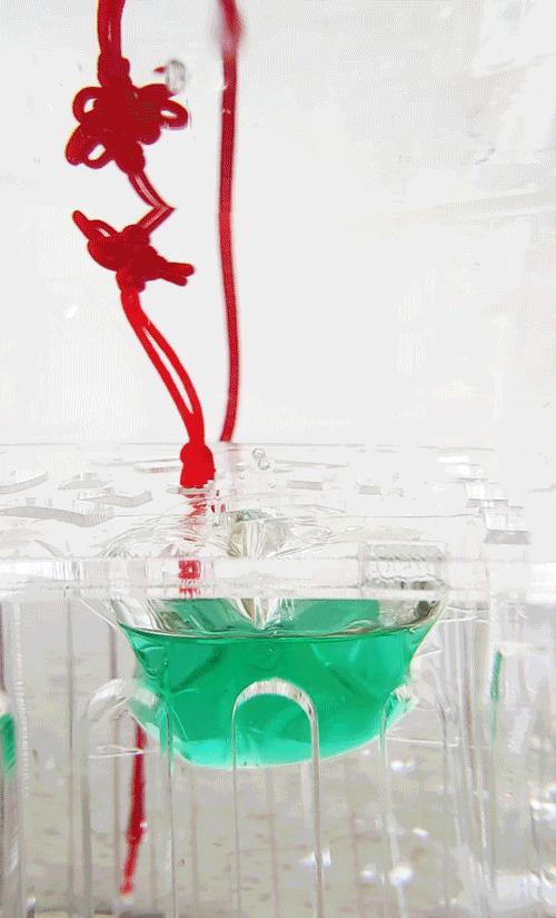 拼多多洗衣凝珠推荐留香久,洗衣凝珠推荐测评直播