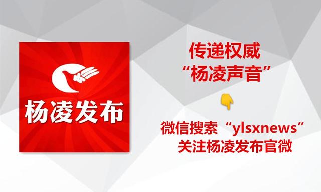 杨凌即将开工的工作,杨凌复工的最新通告