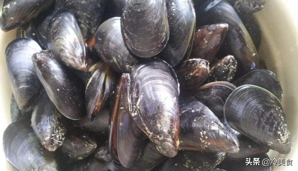 怎样挑选新鲜的海虹,海虹怎么吃千万别吃错了