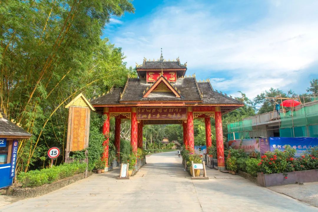 云南本地好吃的大米有哪些,云南哪里的大米好吃排名