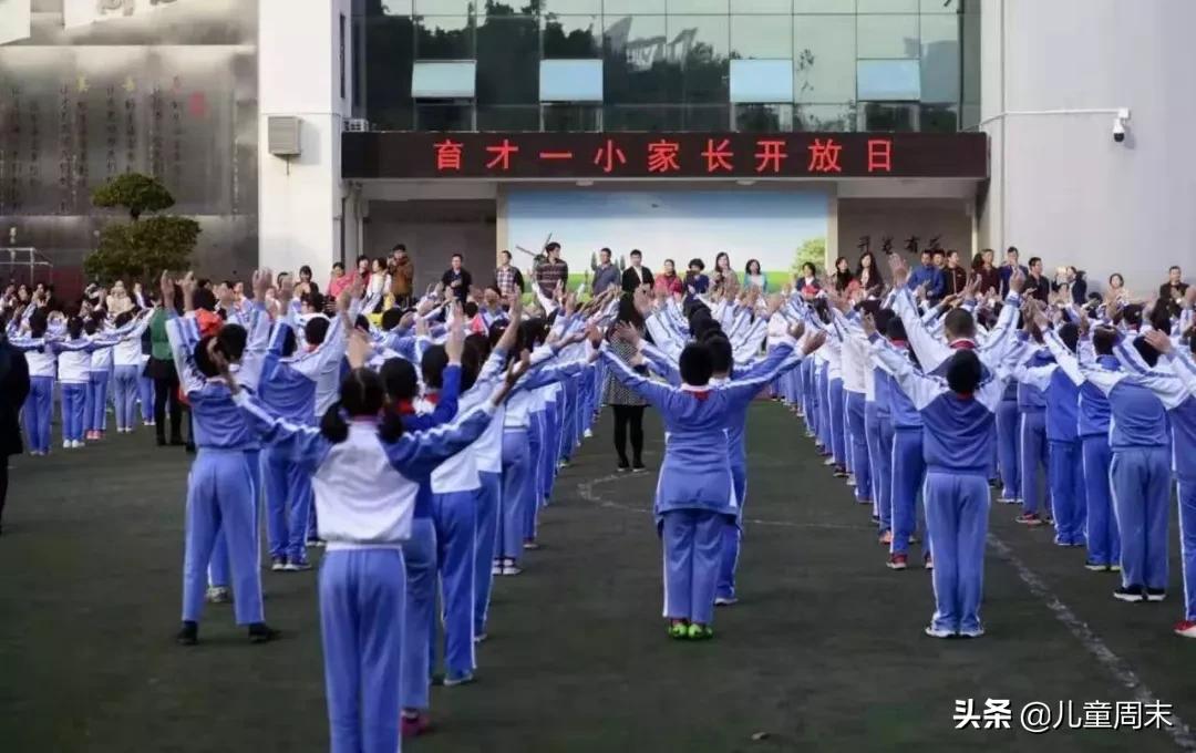 南山蛇口育才一小/二小/三小/四小,哪所更合适你家孩子?