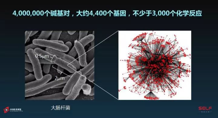 微生物降解塑料,生物塑料可以被微生物降解吗