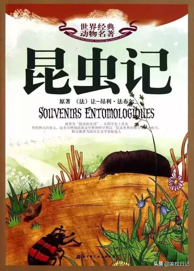 小升初课外书推荐必读,小升初必读课外书推荐