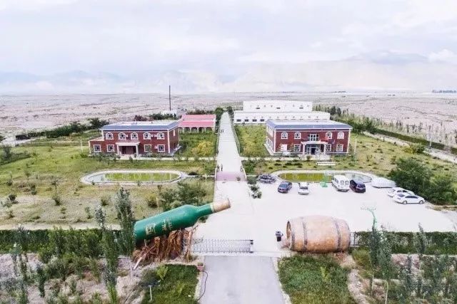 在*疆新**，谁才是“果界一哥”？