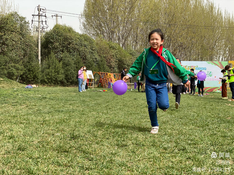农场体验田园生活捡鸡蛋,农场种菜研学活动的收获和感悟