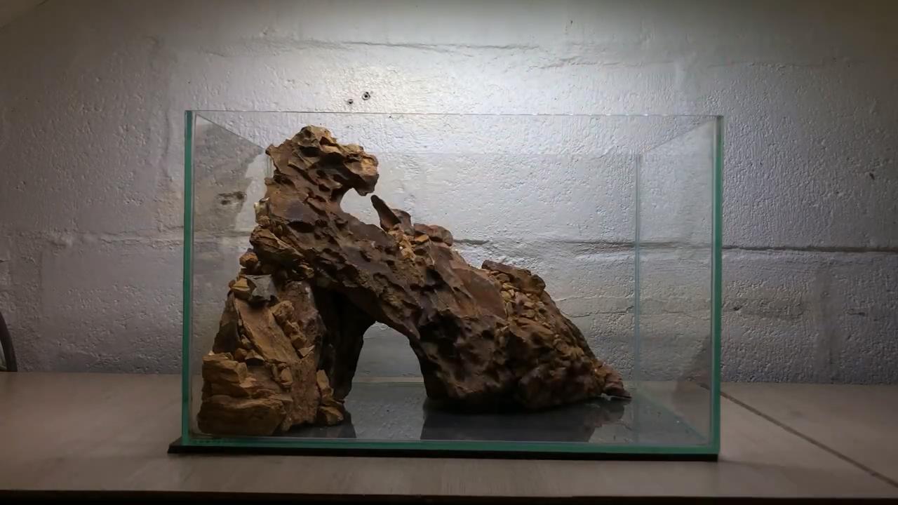 小草缸造景入门水草基本知识,小型草缸造景入门水草基本知识