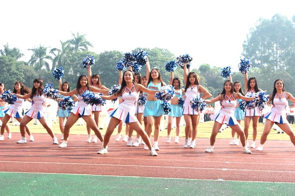 每日一校一专业,每日一校一览表