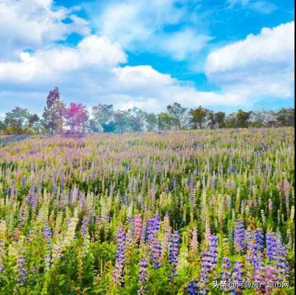 河源晚上的巴伐利亚庄园,河源巴伐利亚庄园位置在哪里啊