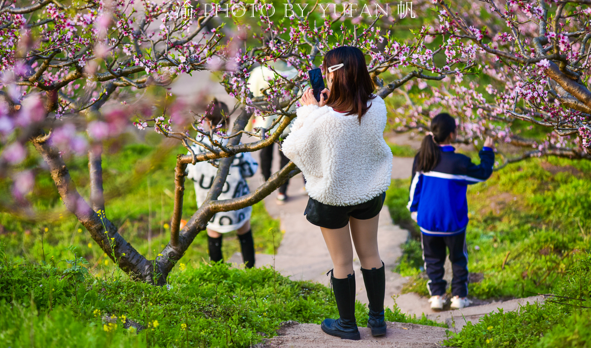 潼南桃花山景区,潼南春游踏青最佳地