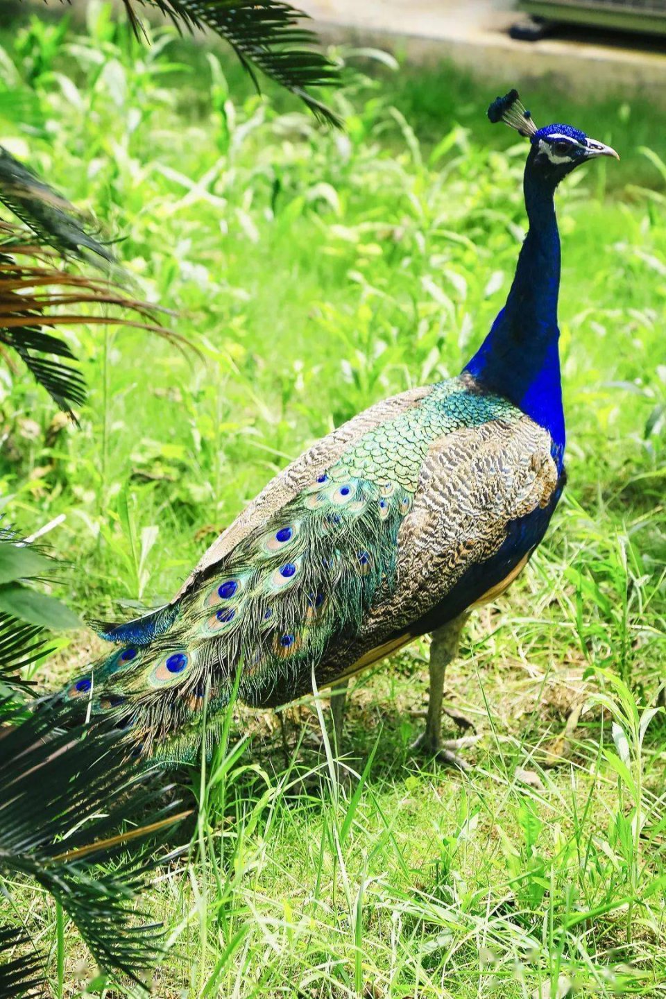 洋沙湖5.1一日游攻略,洋沙湖游玩攻略一天