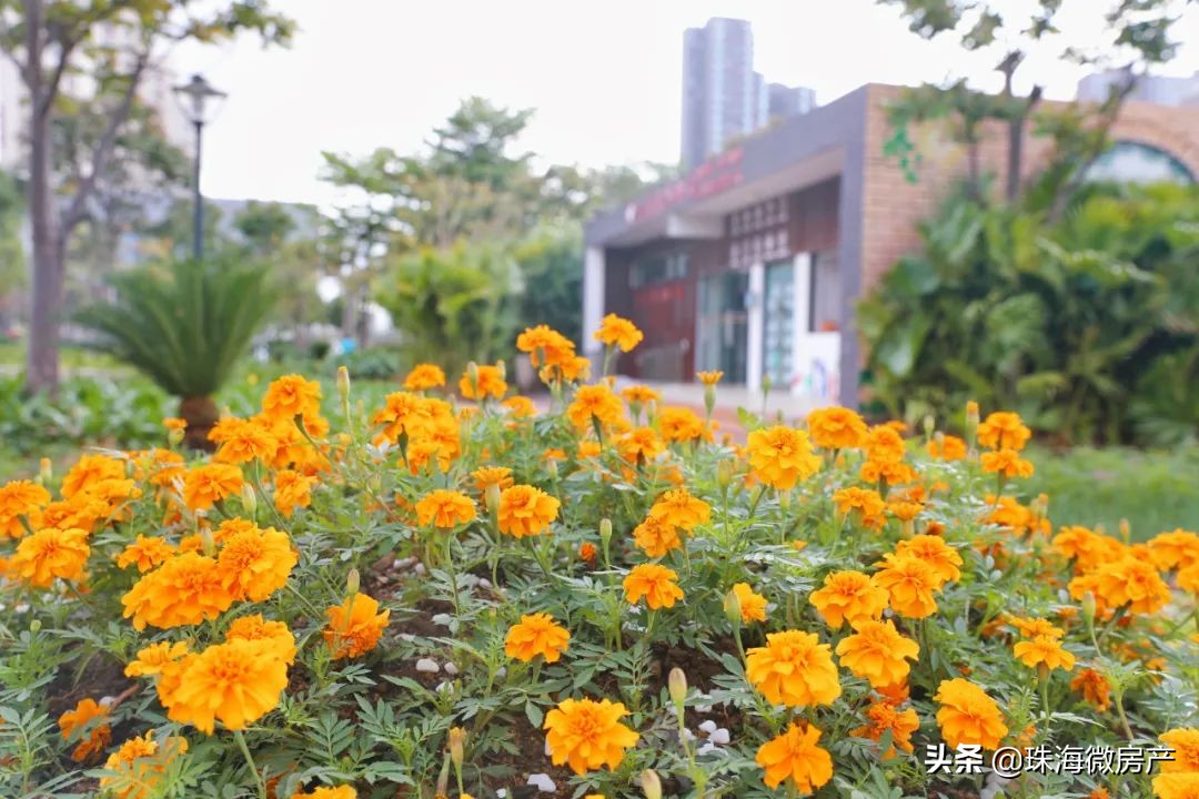 三灶镇金岛路,三灶东咀金岛路