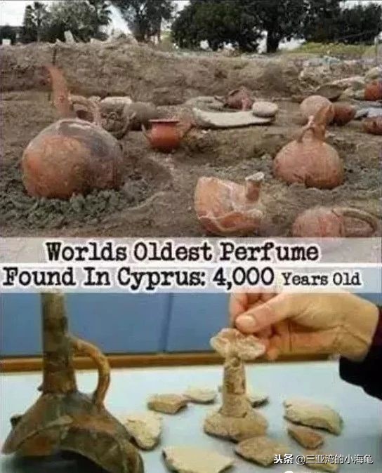 我叫塞浦路斯,这是我的名片,请您收好!