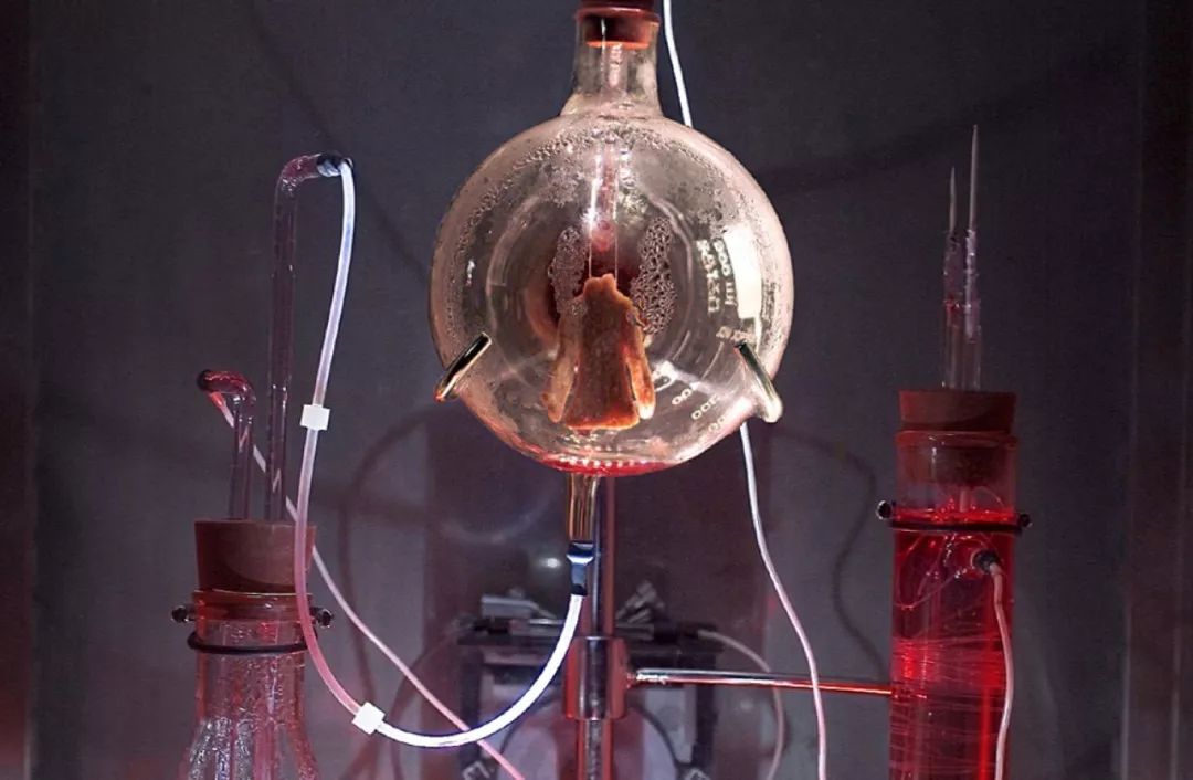 中国设计师创新机会,中国设计师的痛点和发展