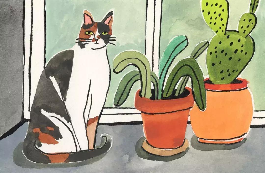 你家孩子正在遭受霸凌吗,当你看到孩子被霸凌时