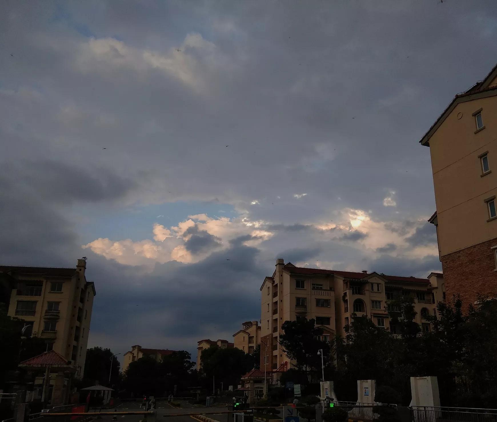 2020,我拍的奇云集锦