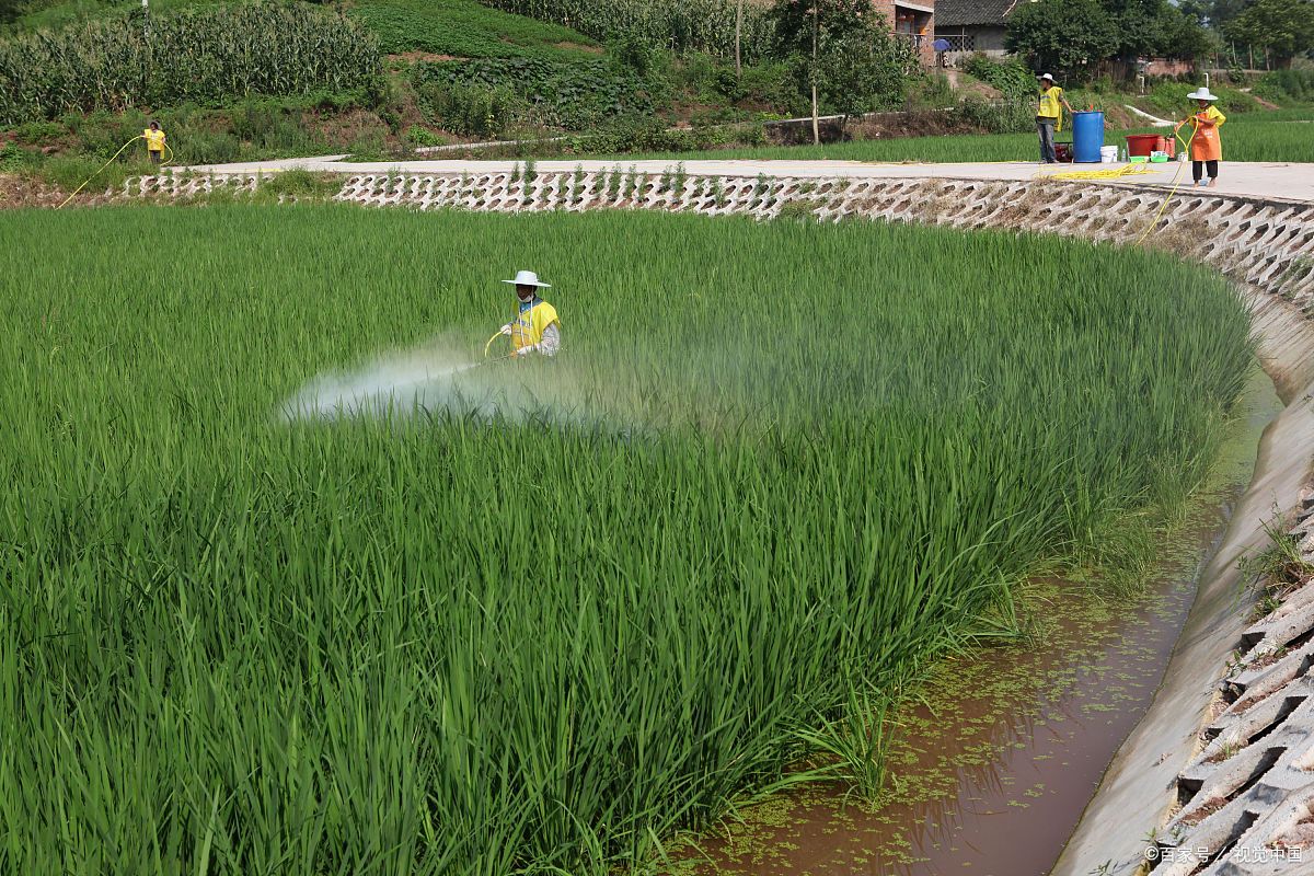 飞机为什么能飞上天的资料简写,飞机为什么能飞上天微课