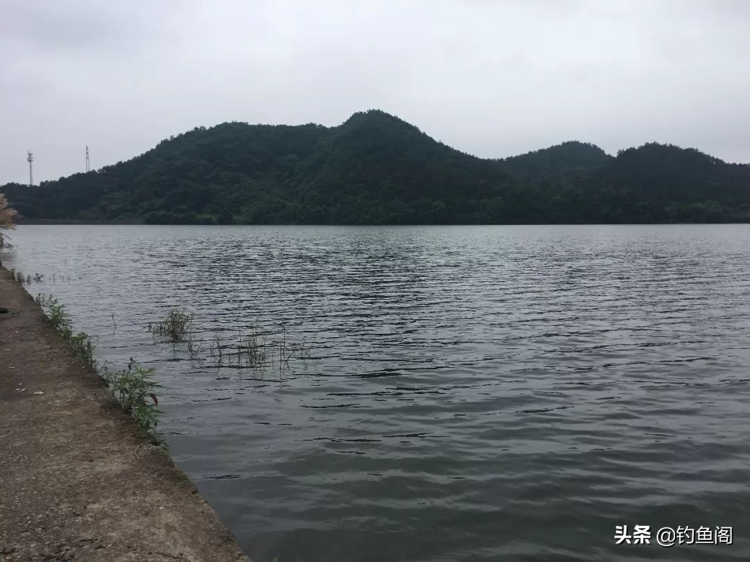 大风大浪怎么钓鱼钓浅水还是深水,有水浪用什么方法钓鱼