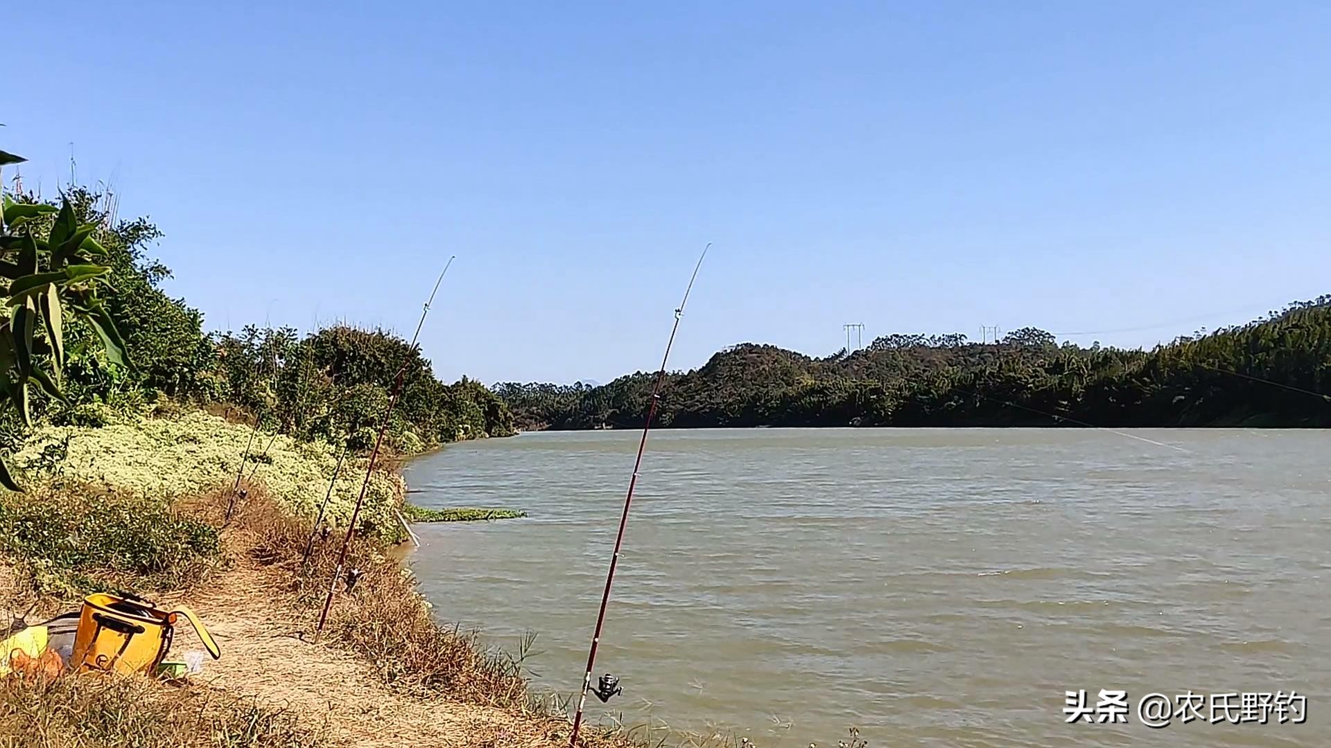 窝料野钓专用花生饼,翻板钩用的花生饼怎样制作