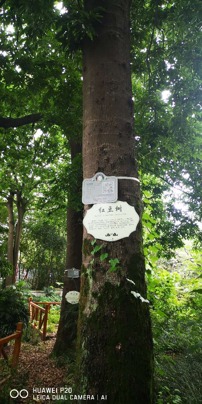 于右任墓志墓表集锦,于右任的墓碑怎么写