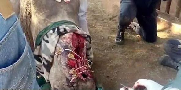 文玩的十大黑幕,文玩最让人无奈的六件事