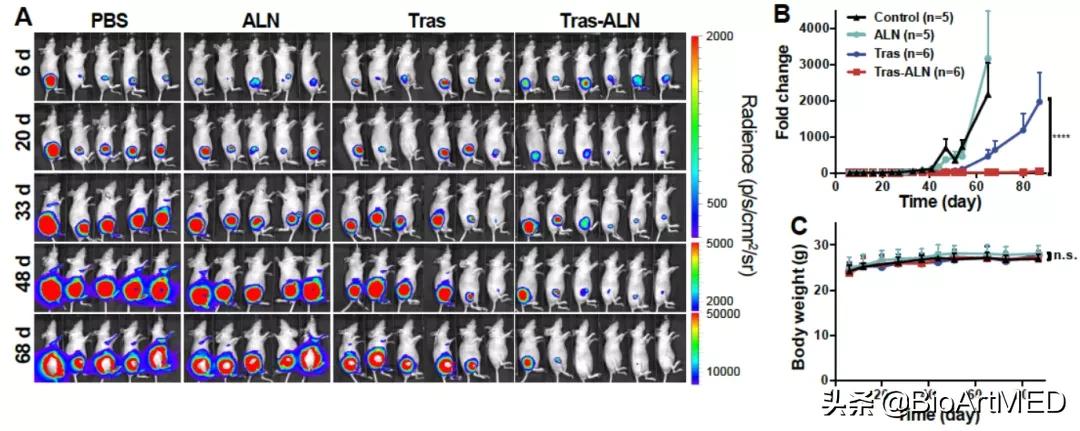 乳腺癌骨转移口服靶向药,乳腺癌骨转移新药