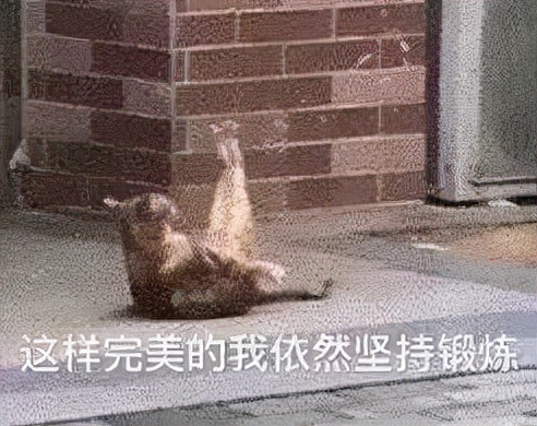 这一刀太狠了,这一刀太狠了原版