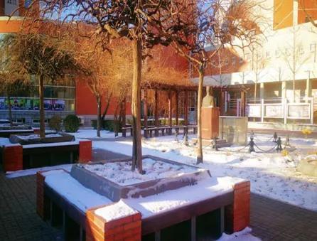 天津高级中学,天津市第二南开中学录取分数线