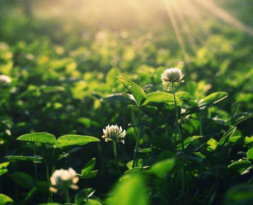 千万不要对这三个星座耍心机,脾气虽好但最难对付的三大星座