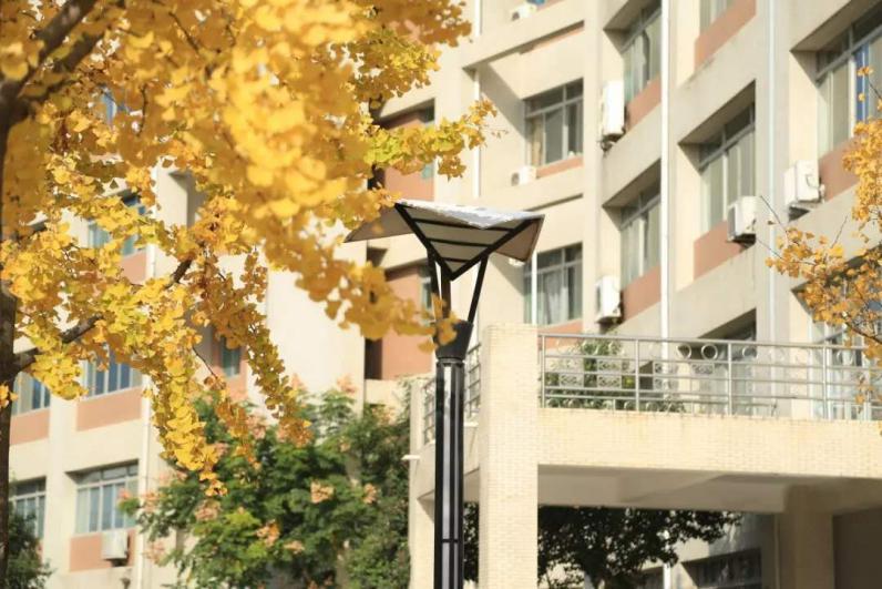 有颜值有实力有背景,有颜值有实力的学霸