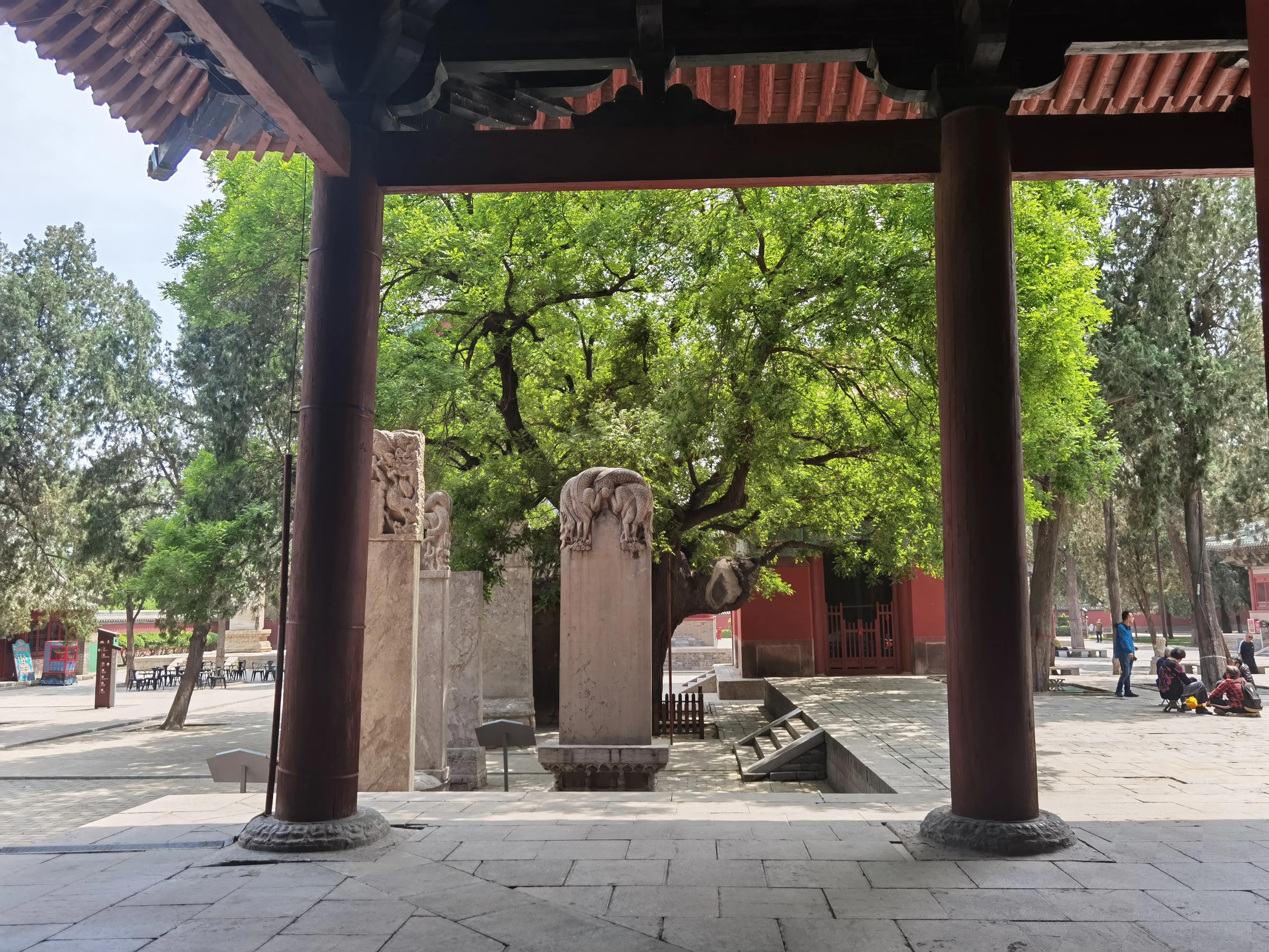 正定县隆兴寺图片,正定县隆兴寺
